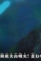 5Z2bbBVhLN2Rr0v2NuCYGEKOQxx-2-152x228-1